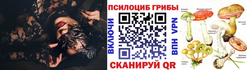 как найти   Дудинка  кракен ТОР  Псилоцибиновые грибы Psilocybine cubensis 
